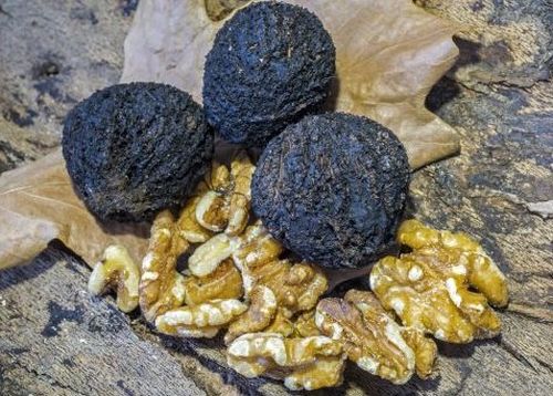 black walnuts