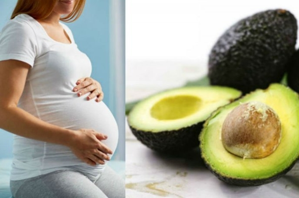 pregnantavocado